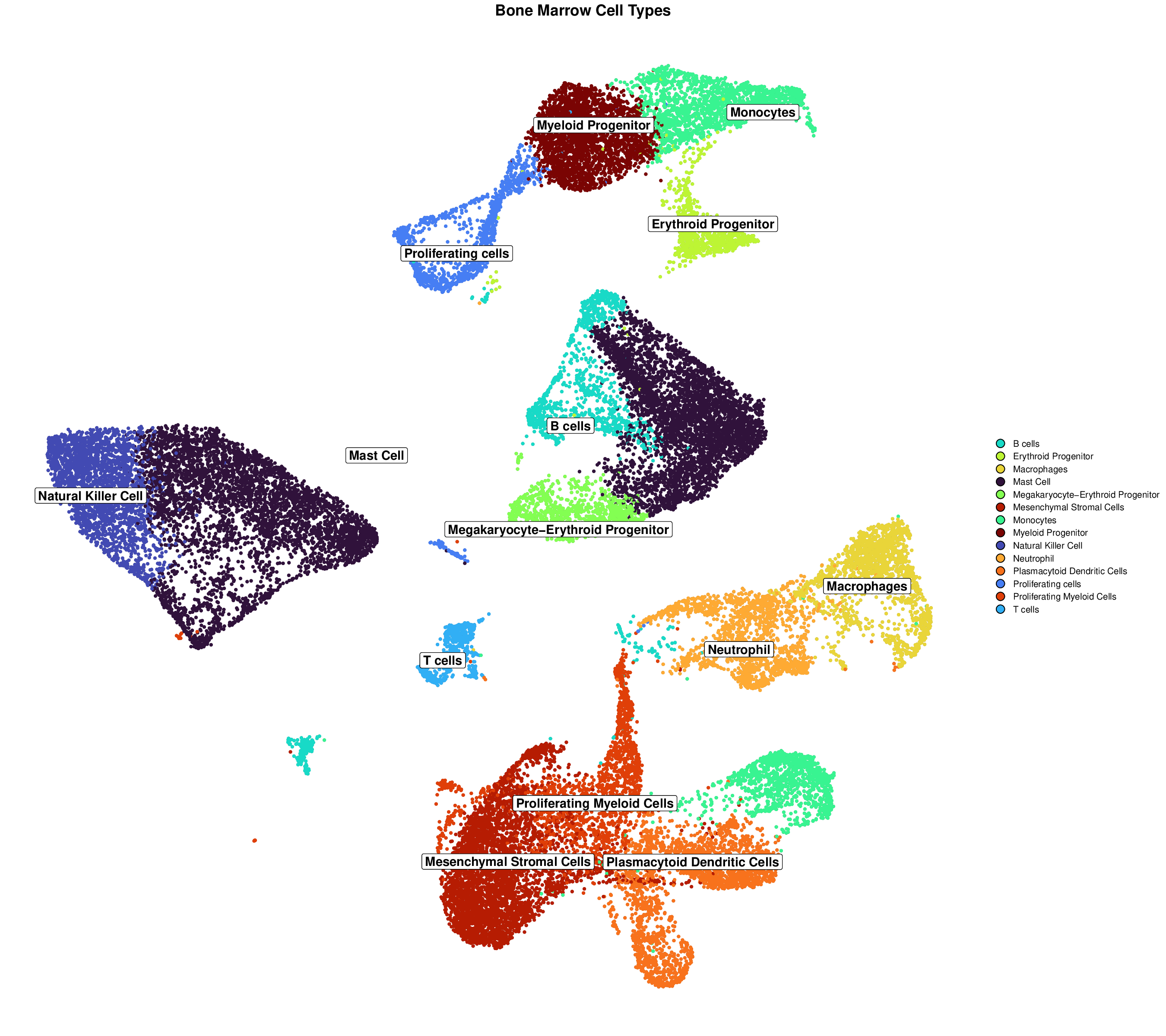 High-Resolution Publication Figure