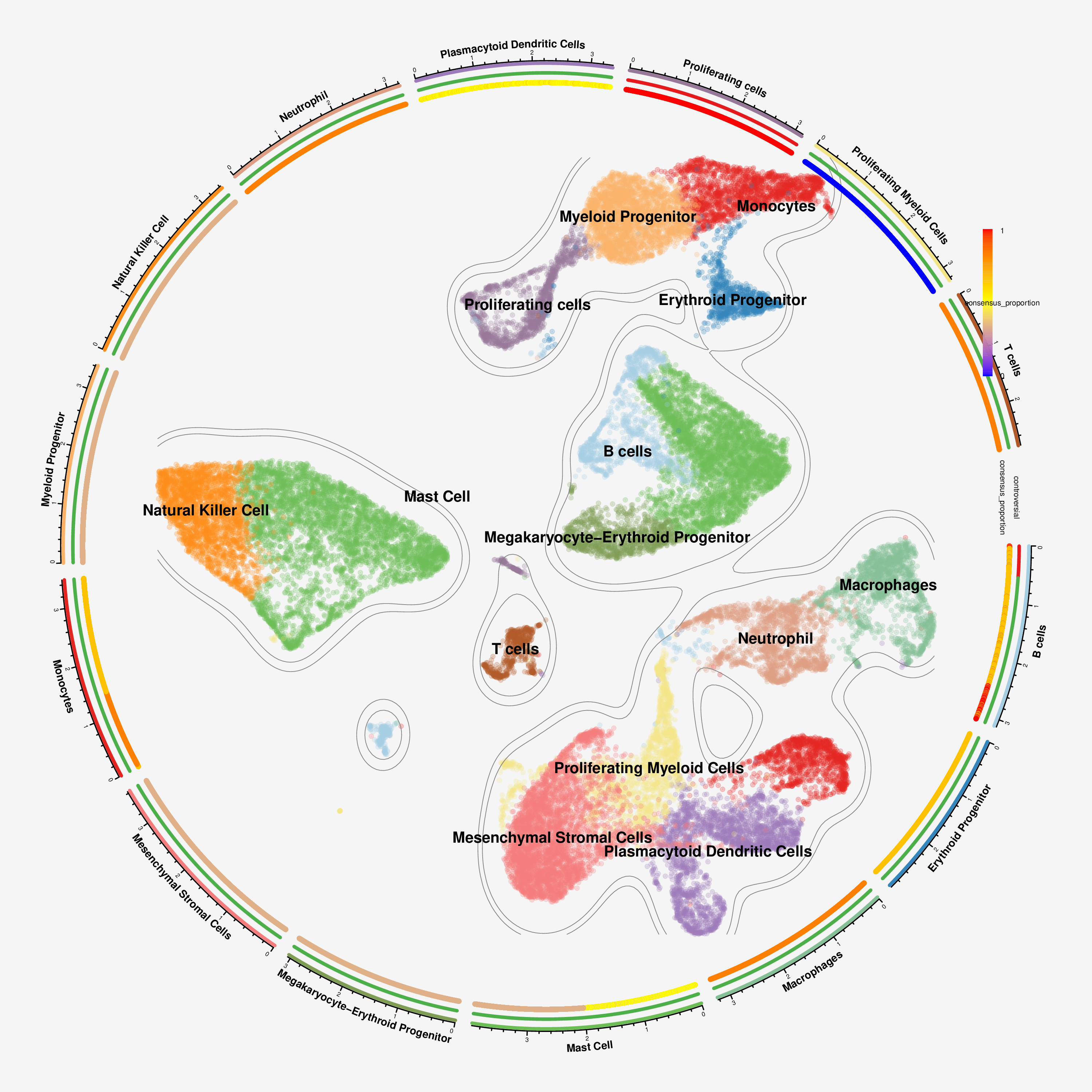 Circlize Plot