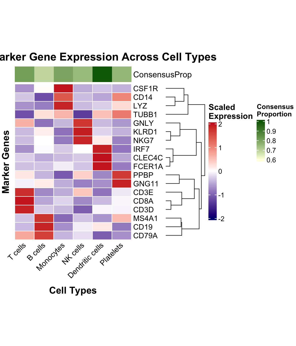 Enhanced Marker Gene Heatmap
